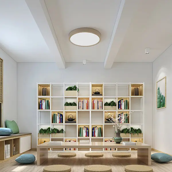 Matter smart double-sided illuminated ceiling light